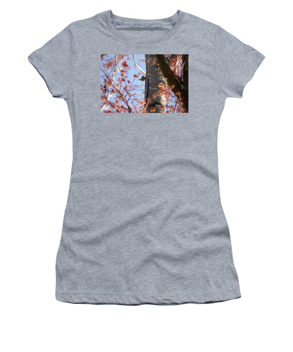  Women's T-Shirt featuring the photograph Nuthatch Treat by Heather E Harman