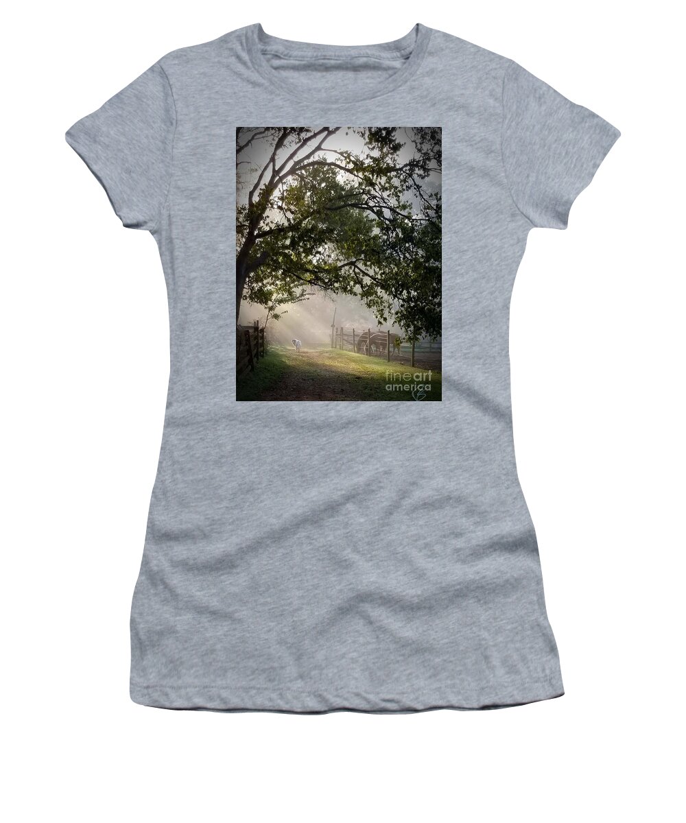 Sunlight Women's T-Shirt featuring the photograph Ochee in the morning light by Rabiah Seminole
