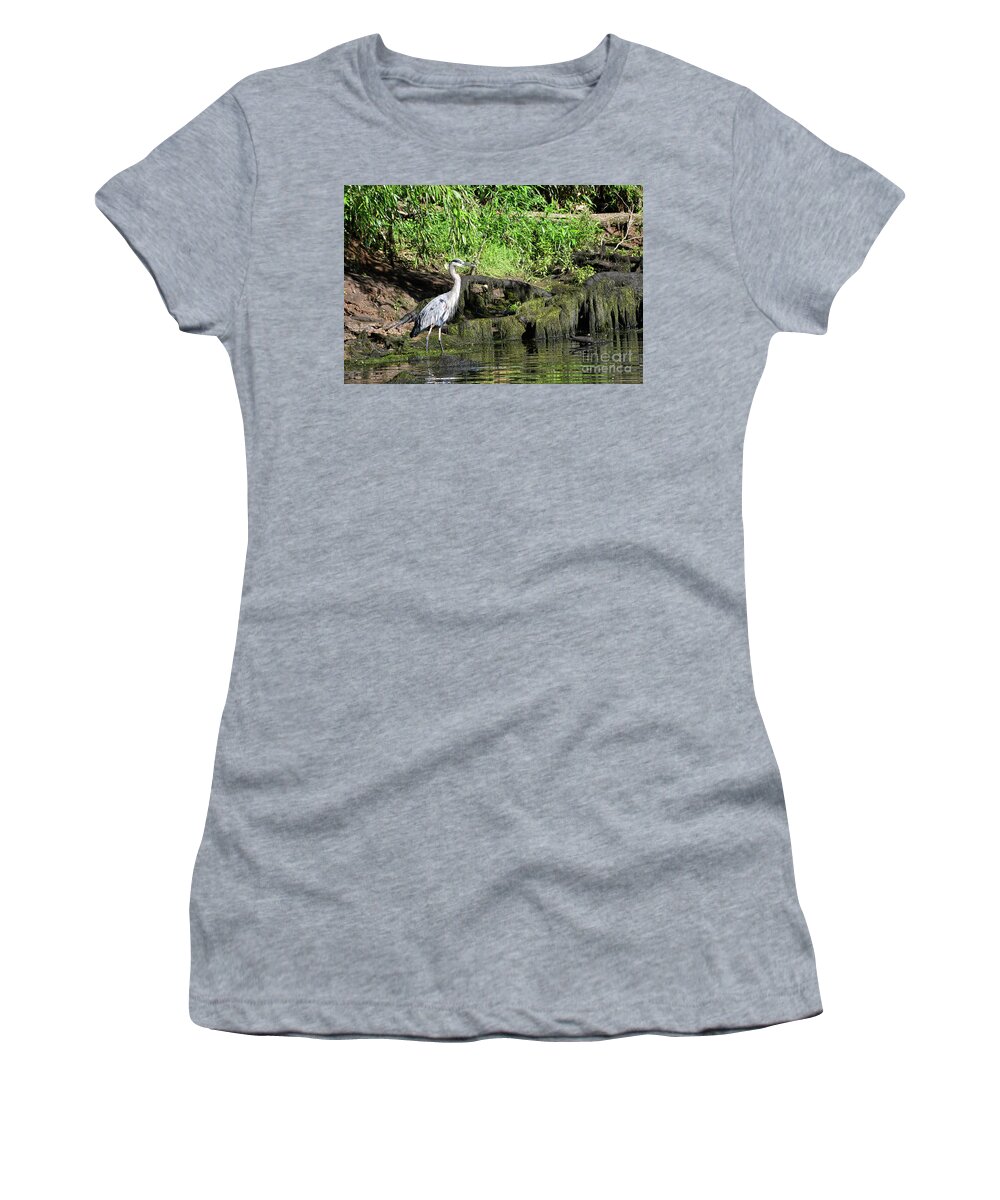 Norris Dam State Park Women's T-Shirt featuring the photograph On The Road 4 by Phil Perkins