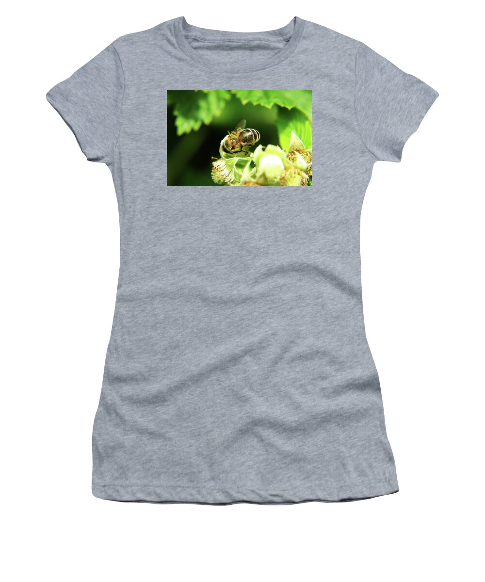 Western Honey Bee Women's T-Shirt featuring the photograph One of small european honey bee sitting on raspberry bloom on garden by Vaclav Sonnek