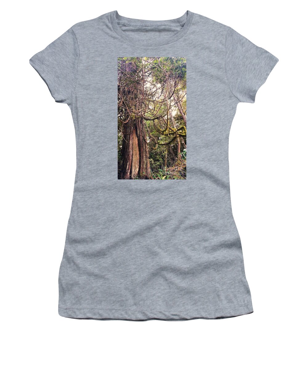 Trees Women's T-Shirt featuring the photograph Open Arms by Kimberly Furey