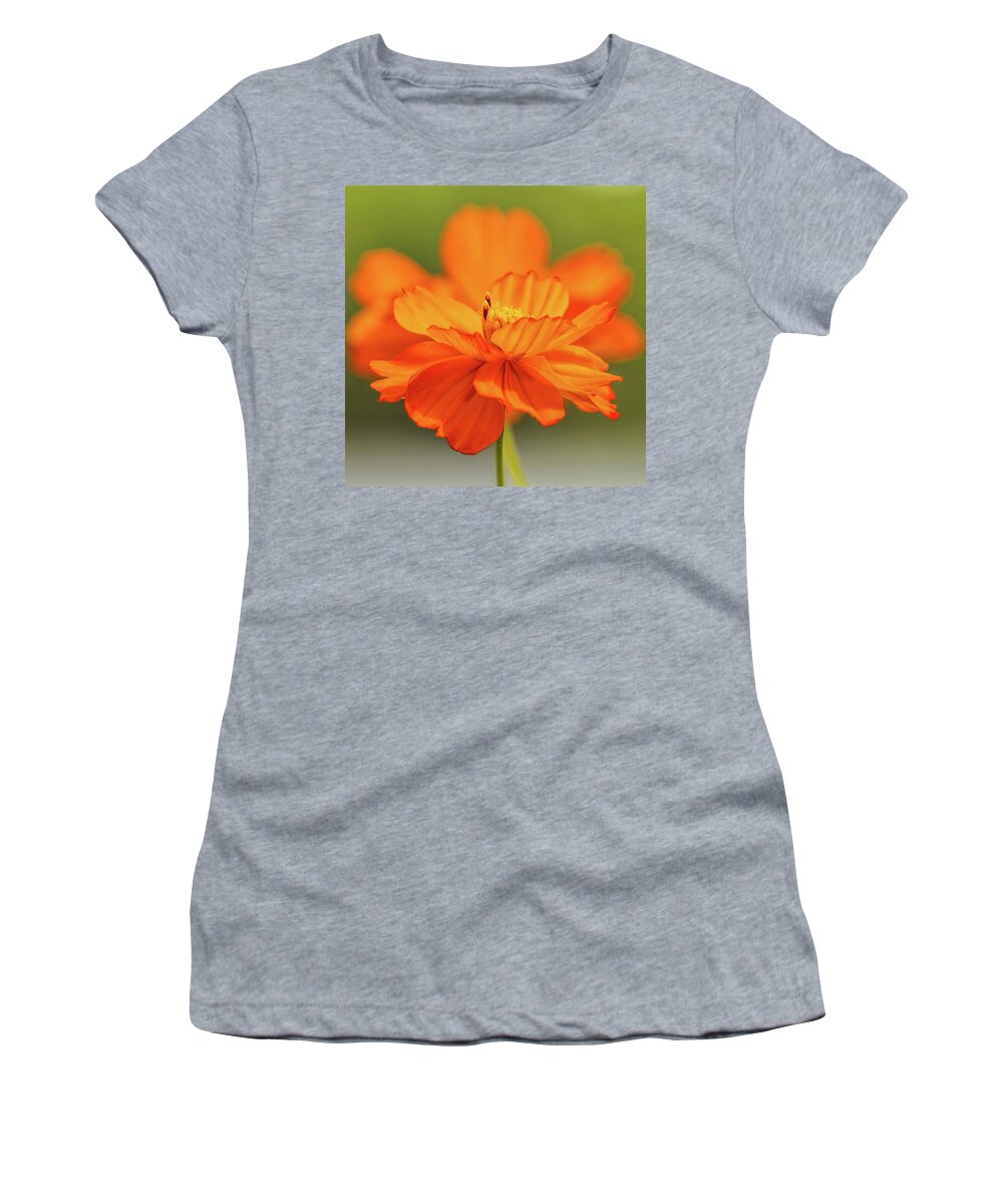 Flower Women's T-Shirt featuring the photograph Orange Cosmos Pair by Dale Kauzlaric