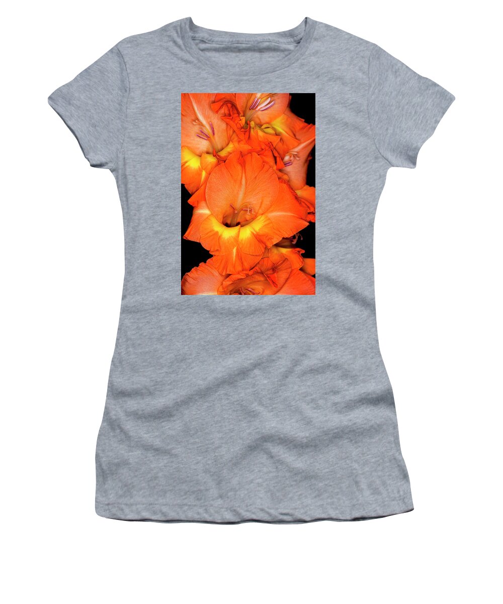 Flower Women's T-Shirt featuring the photograph Orange Gladiolus Flower with Black Background by Art Whitton