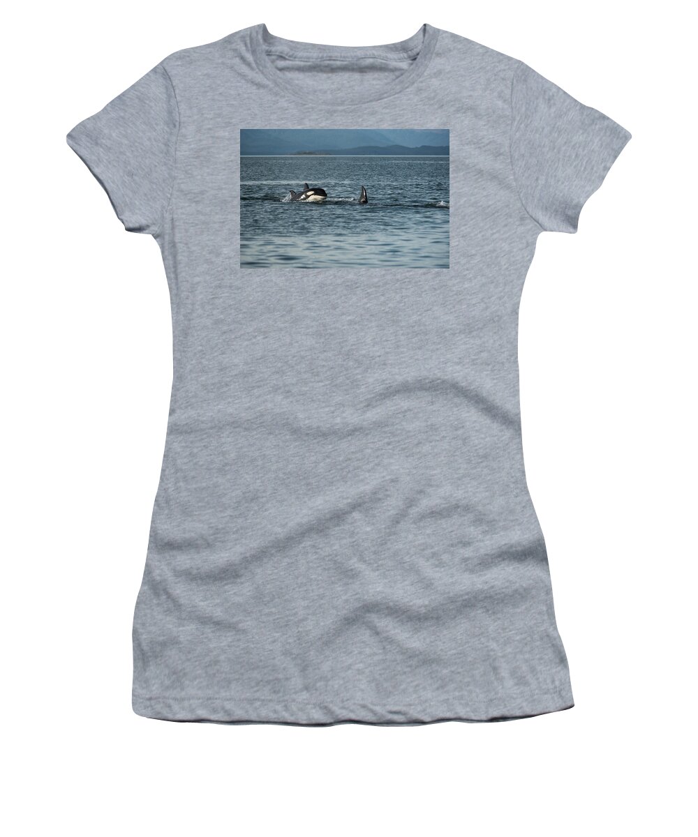Orca Women's T-Shirt featuring the photograph Orca Baby by David Kirby