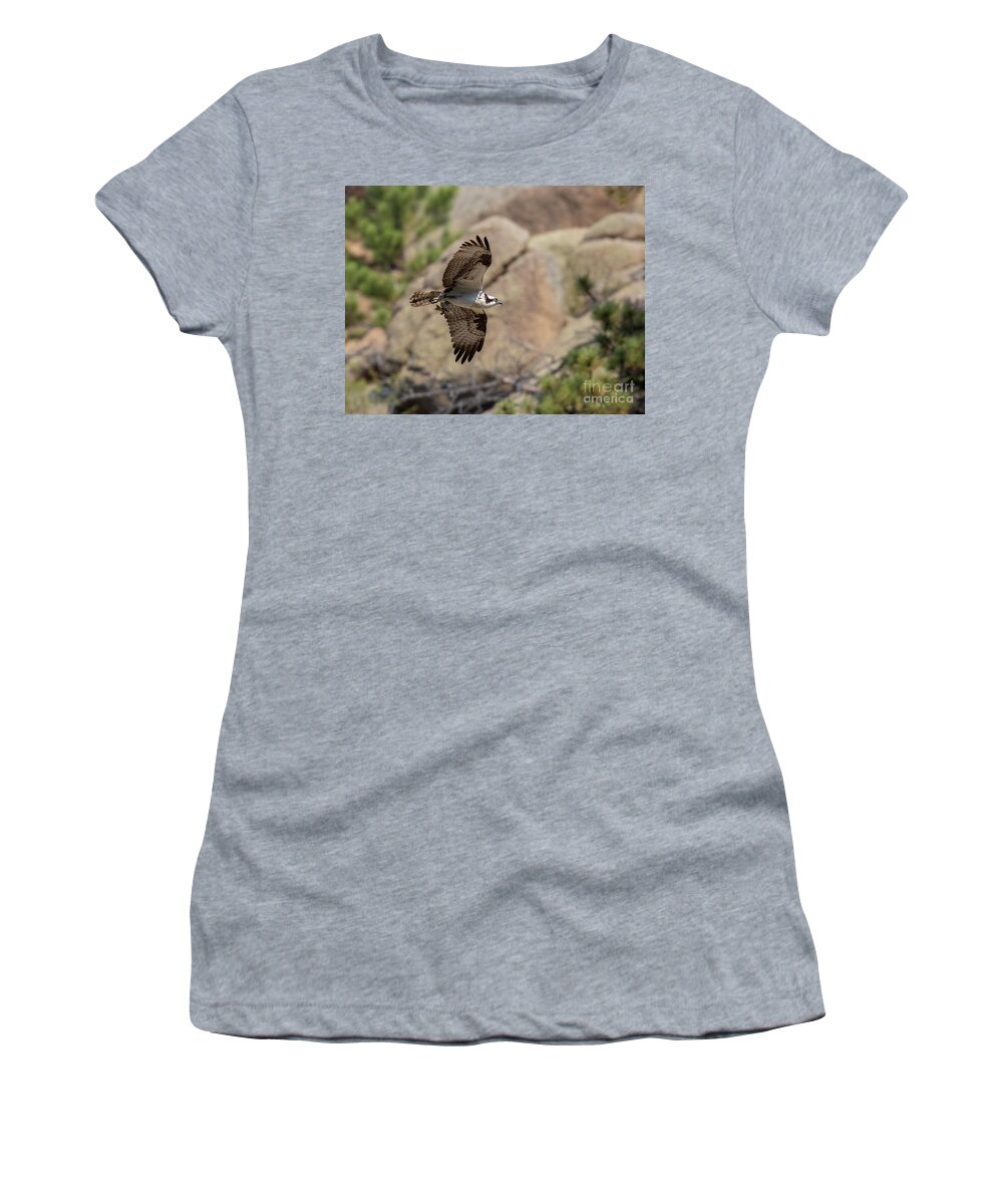 Osprey Women's T-Shirt featuring the photograph Osprey in Flight by Cliff by Steven Krull