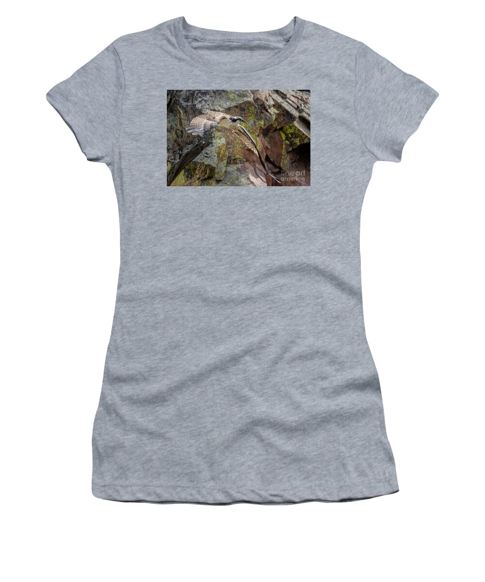 Bird Species Women's T-Shirt featuring the photograph Osprey in Flight Over Waterton Canyon by Steven Krull