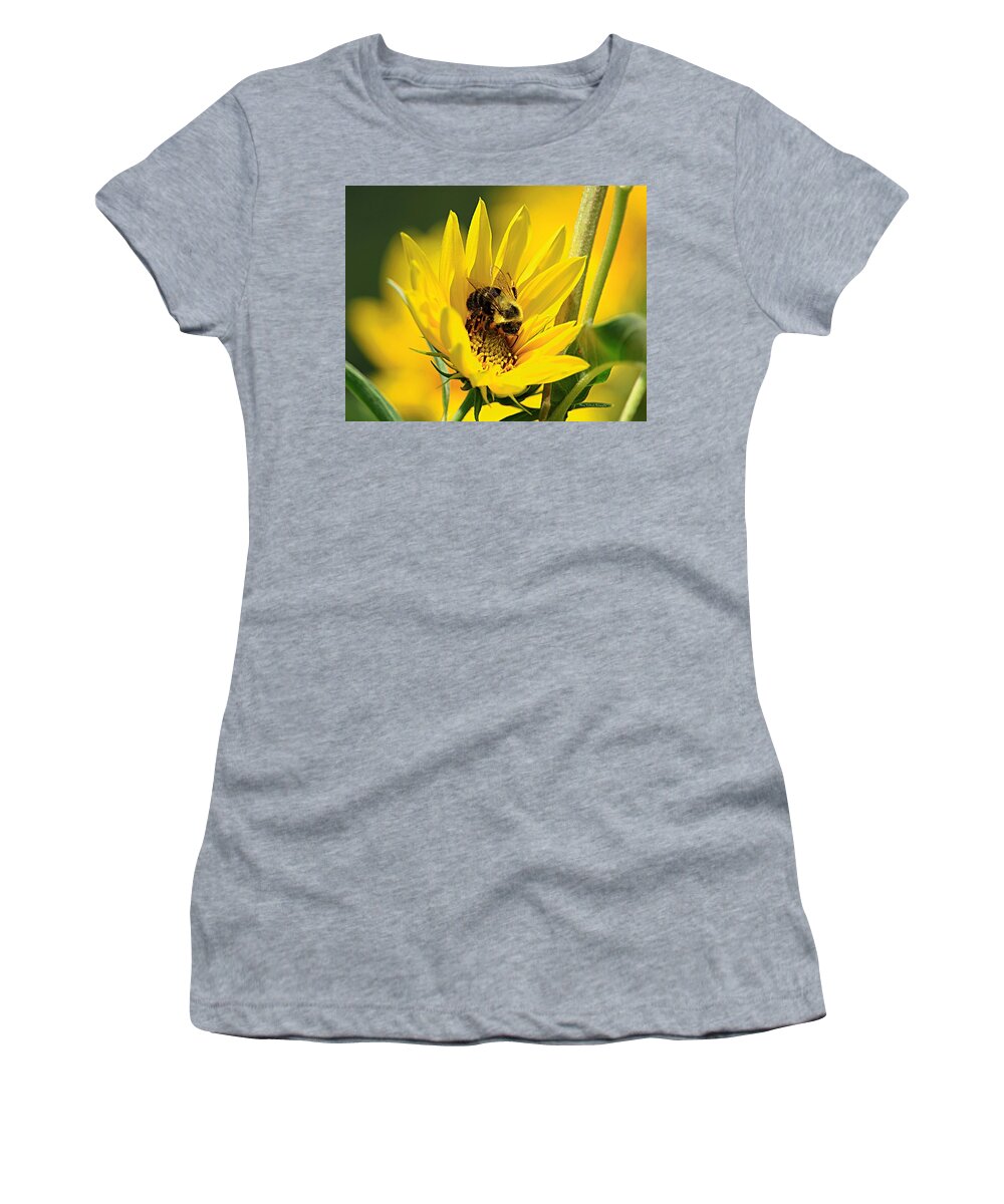 Bee Women's T-Shirt featuring the photograph Our Best Friend by Mary Walchuck