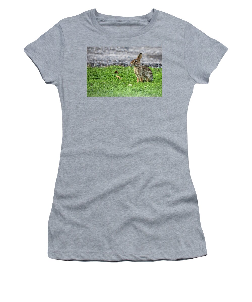 Rabbit Women's T-Shirt featuring the photograph Our Visitor by Scott Burd