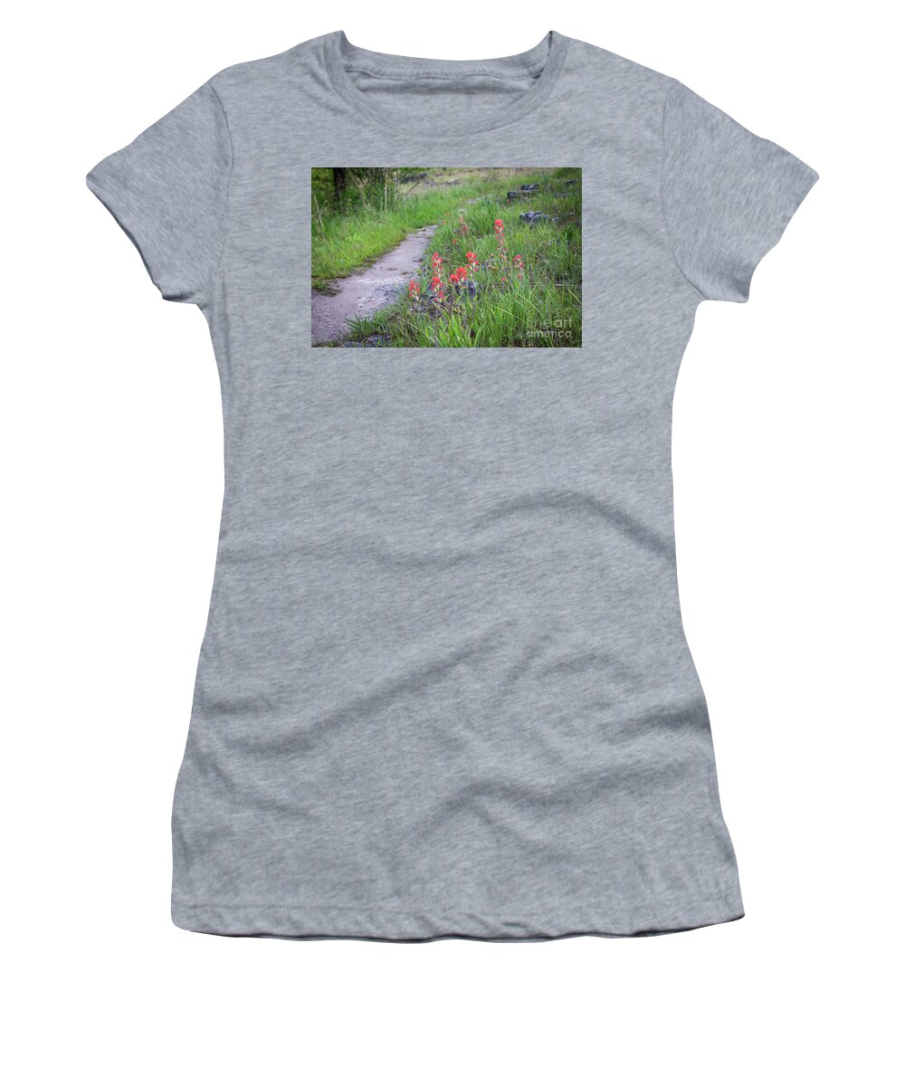 Paint Women's T-Shirt featuring the photograph Paint Brush Trail by Dennis Hedberg