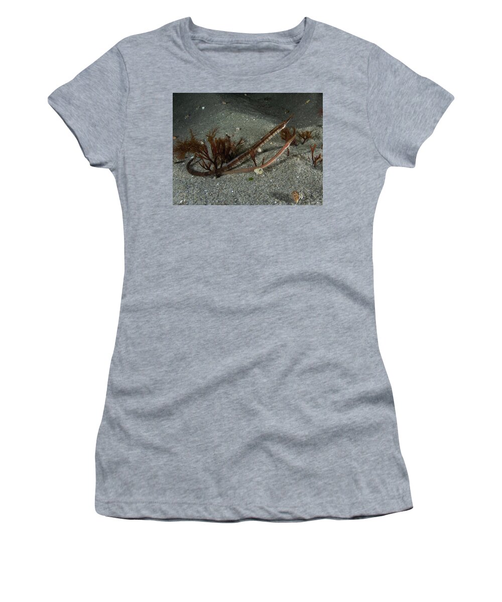 Pipefish Women's T-Shirt featuring the photograph Pair of northern pipefish by Brian Weber