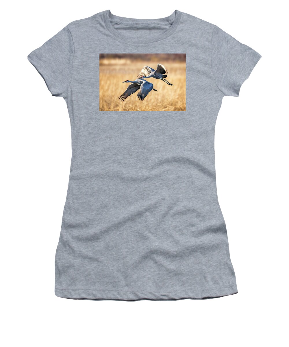 Cranes Women's T-Shirt featuring the photograph Pair of Sandhill Cranes by Al Mueller