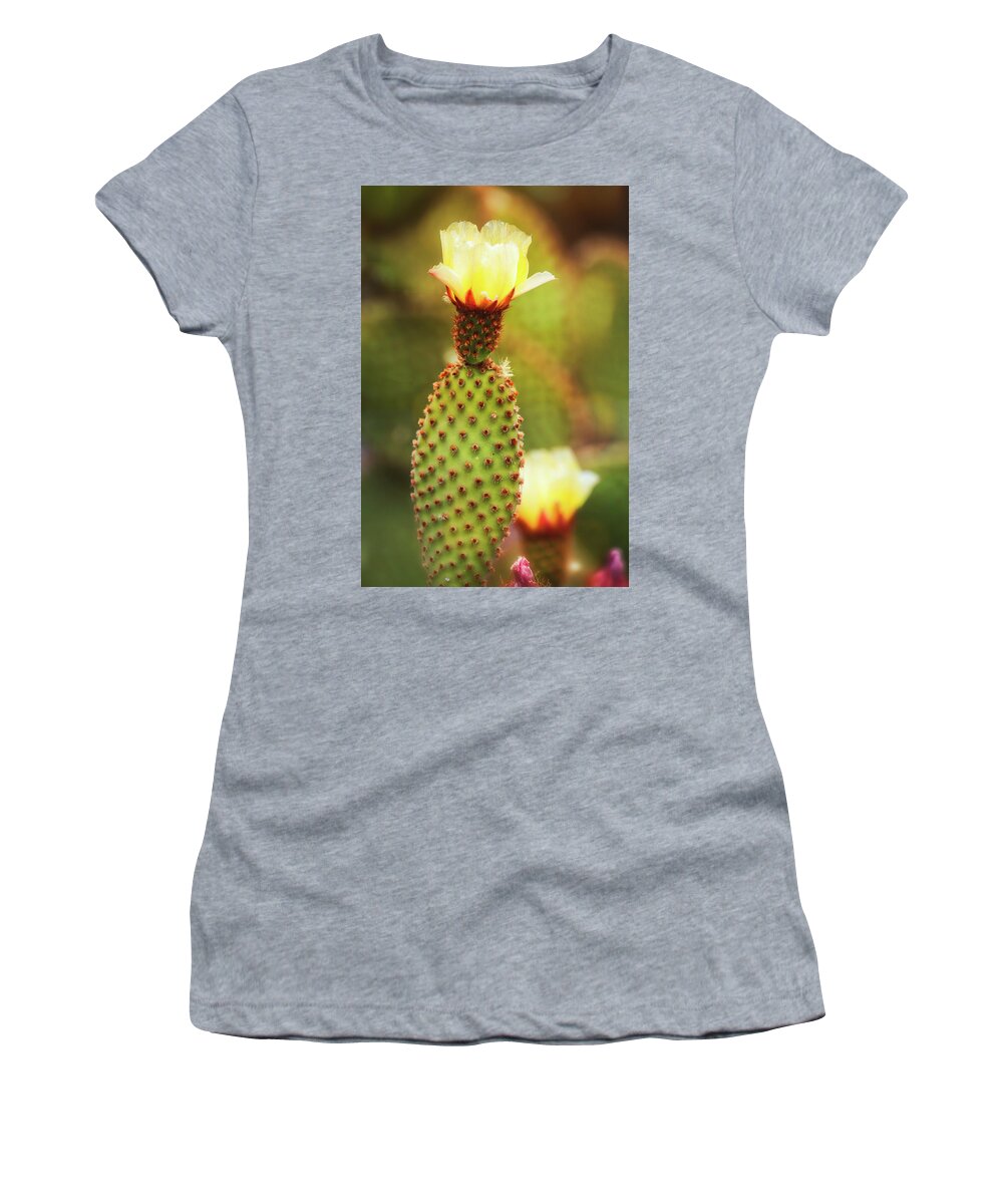 Yellow Prickly Pear Women's T-Shirt featuring the photograph Pale Gold by Saija Lehtonen