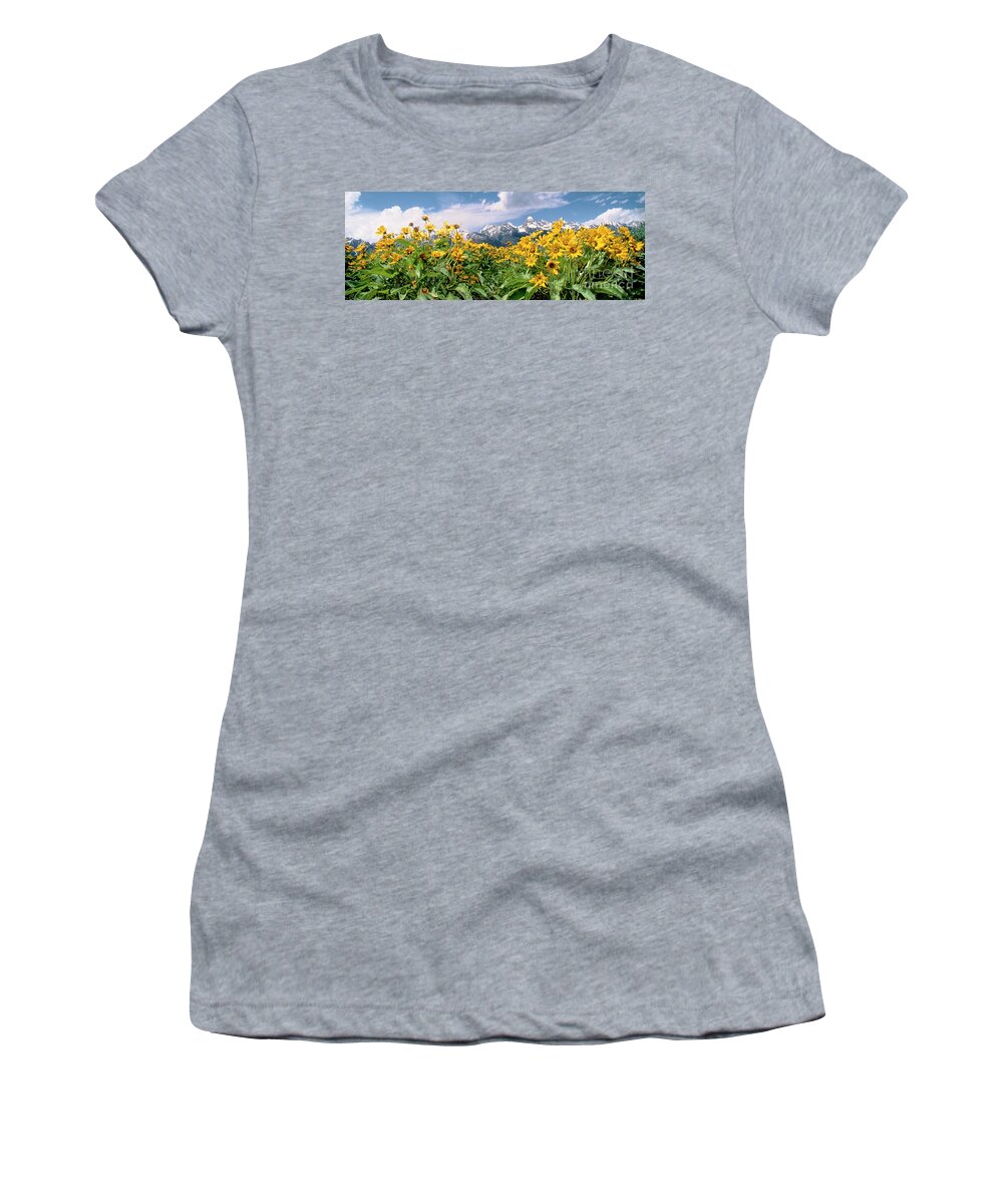 Dave Welling Women's T-Shirt featuring the photograph Panoramic Balsamroot Below The Teton Range by Dave Welling