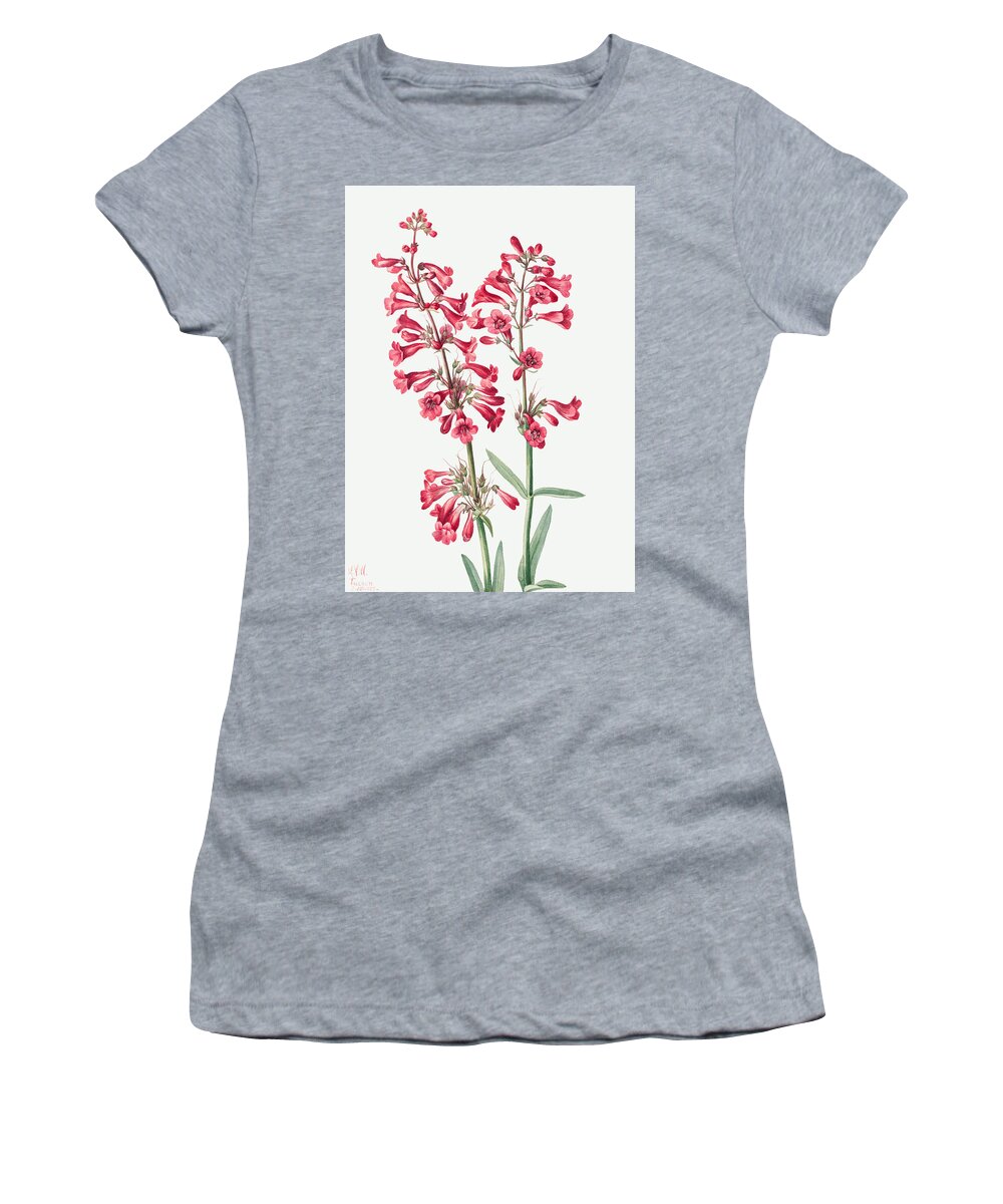 Parry's Penstemon Women's T-Shirt featuring the painting Parry's Penstemon Flowers. ByMary Vaux Walcott by World Art Collective