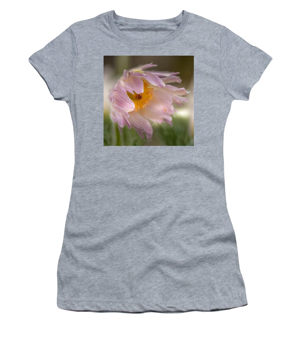 Spring Women's T-Shirt featuring the photograph Pasque Flower in the Wind by Susan Rydberg