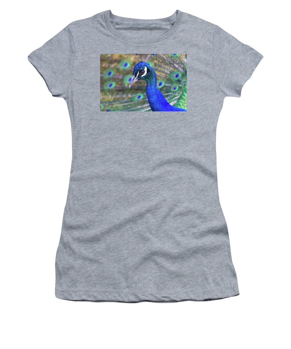 Peacock Women's T-Shirt featuring the photograph Peacock 2 by Deborah M