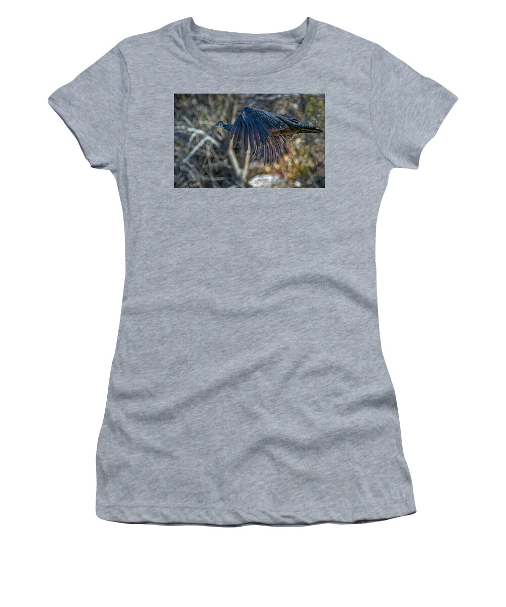 Peacock Women's T-Shirt featuring the photograph Peacock in flight by Rick Mosher