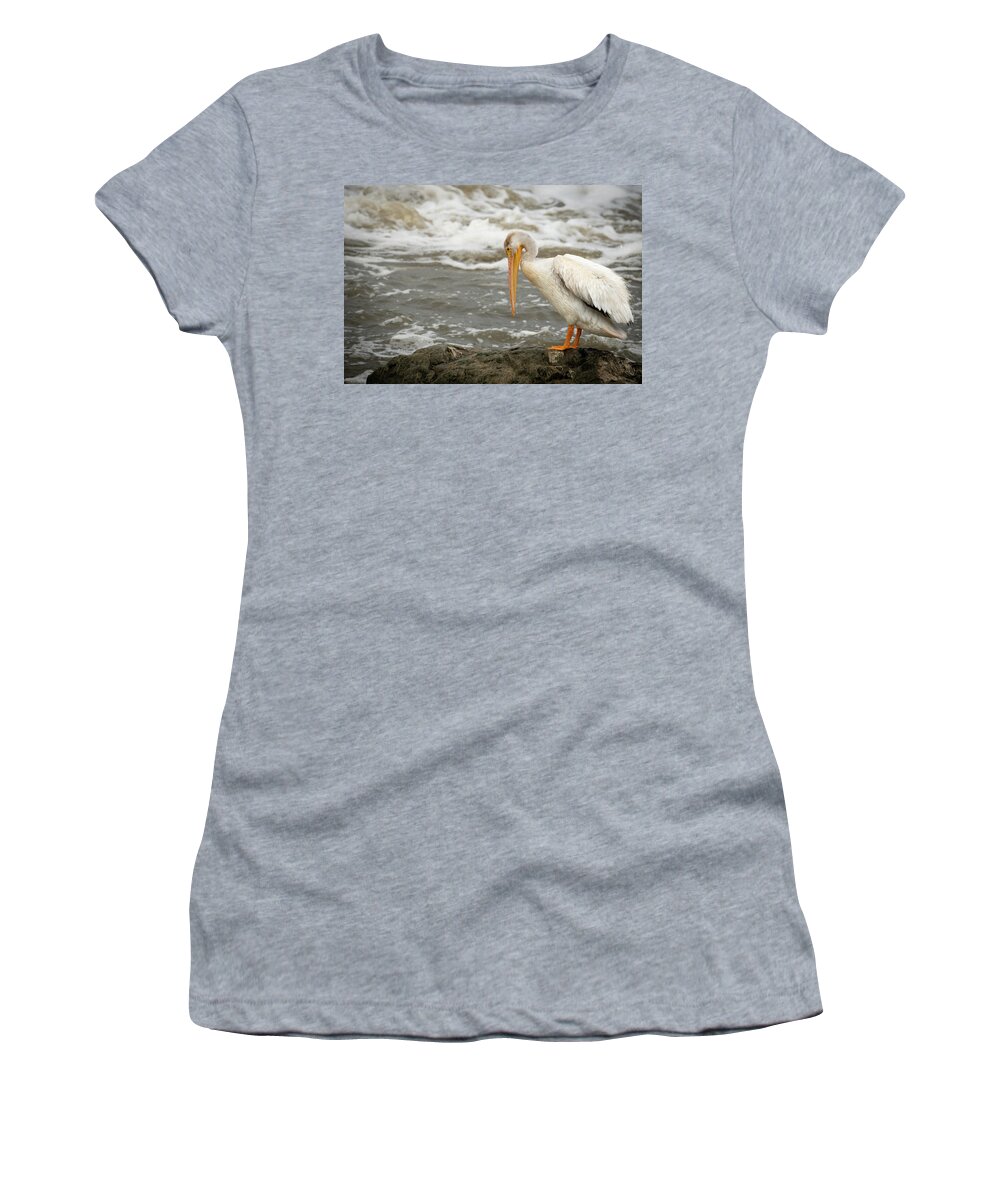 Animal Women's T-Shirt featuring the photograph Pelican Posing by Paul Freidlund