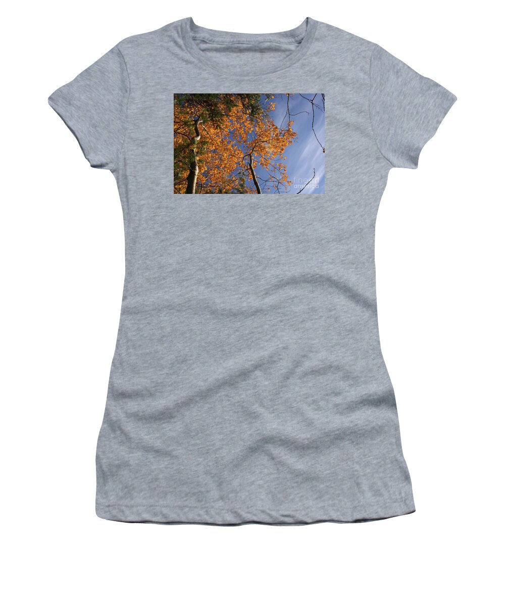 Perspective Women's T-Shirt featuring the photograph Perspective by Mary Mikawoz