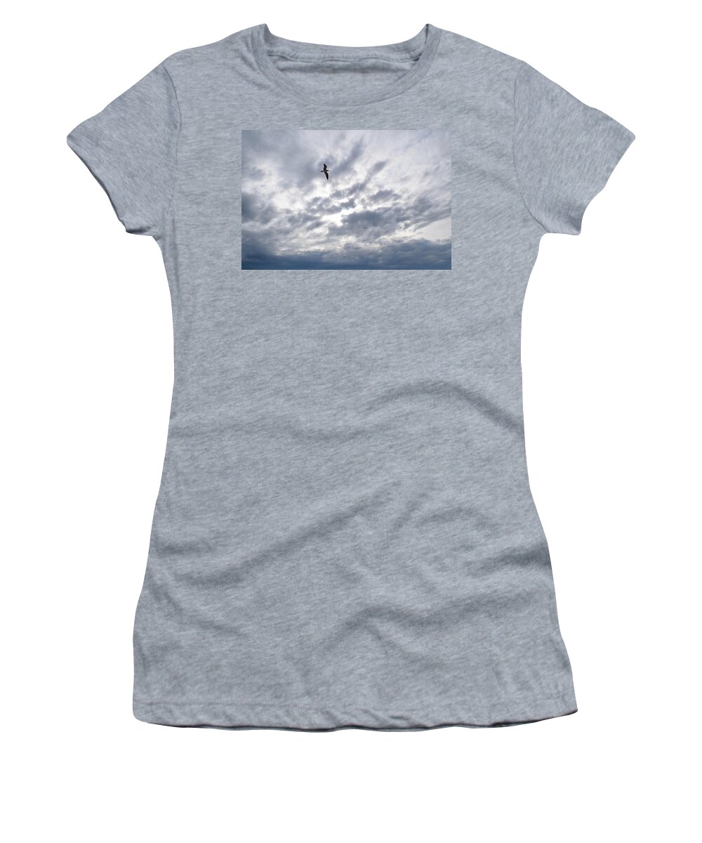 Bird Women's T-Shirt featuring the photograph Photo 80 bird in sky by Lucie Dumas