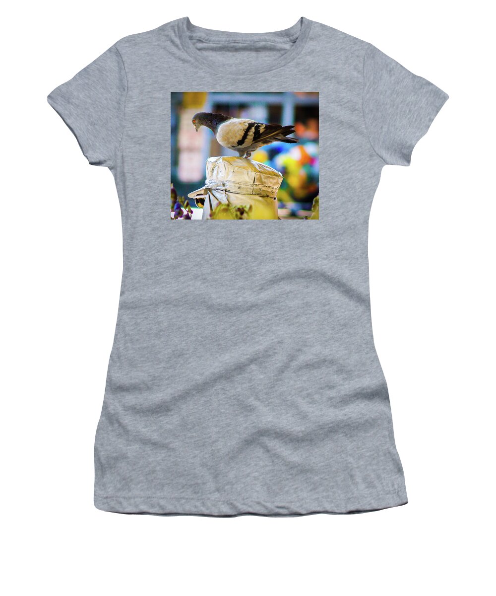 Pigeon Women's T-Shirt featuring the photograph Pigeon Hat by Grey Coopre
