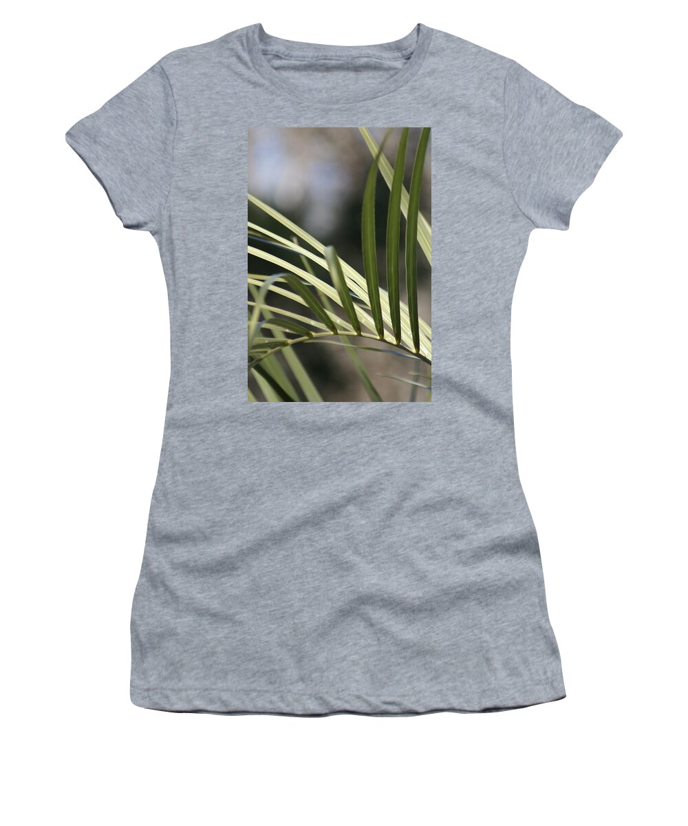  Women's T-Shirt featuring the photograph Pindo Palm Frond by Heather E Harman