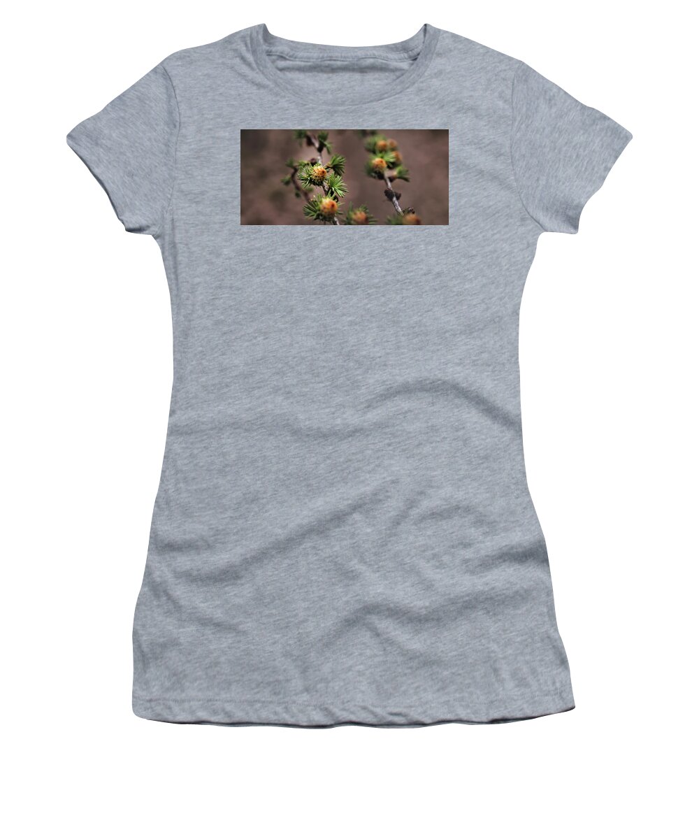 Tree Women's T-Shirt featuring the photograph Pine cones by M Fotograaf