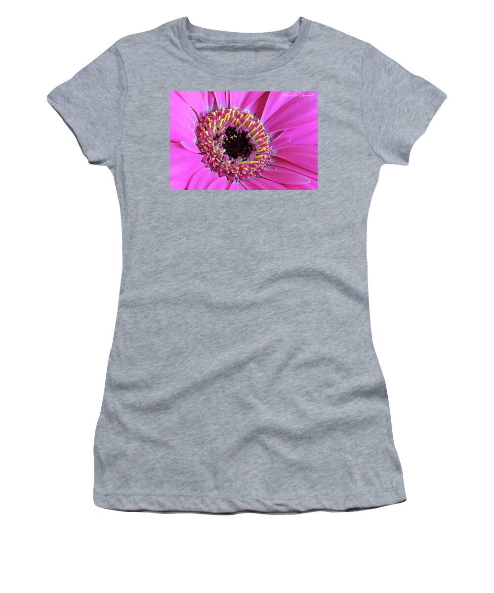 Flowers Women's T-Shirt featuring the digital art Pink 59 by Kevin Chippindall