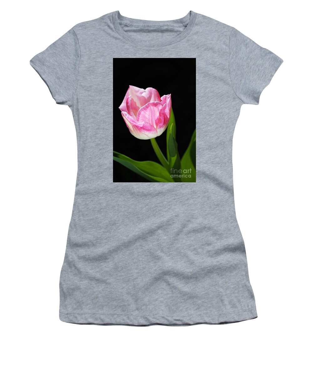 Disambiguation Women's T-Shirt featuring the photograph Pink and Soft White Tulip by Joy Watson