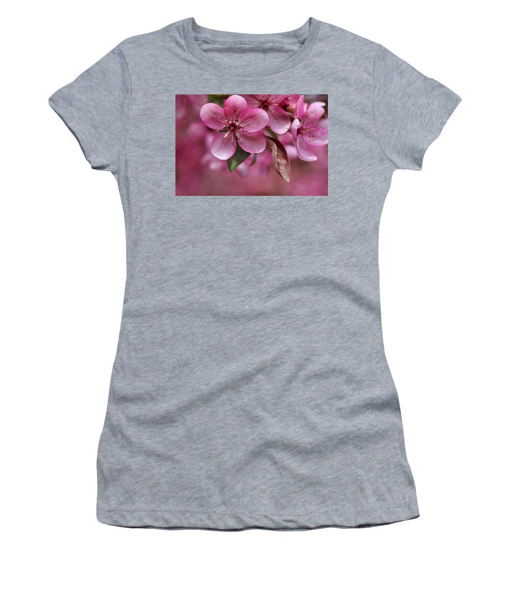 Flower Women's T-Shirt featuring the photograph Pink Anyone? by Scott Burd