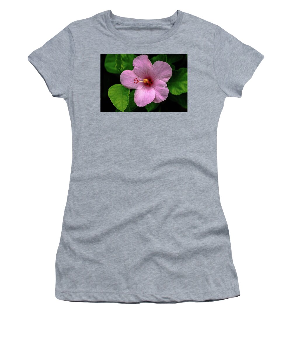 Hibiscus Women's T-Shirt featuring the photograph Pink Hibiscus by Debra Kewley