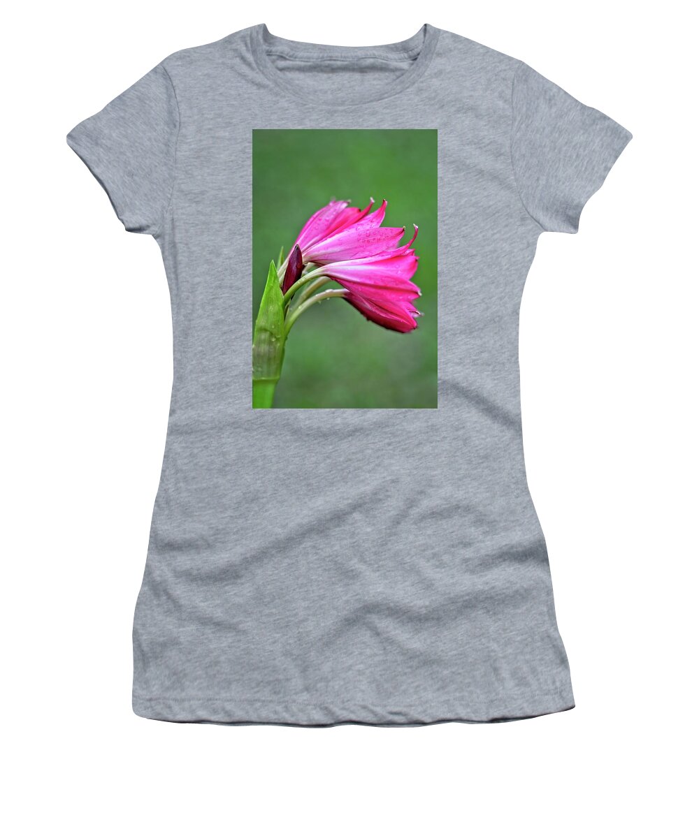 Lily Women's T-Shirt featuring the photograph Pink Lily Raindrops by Carolyn Marshall