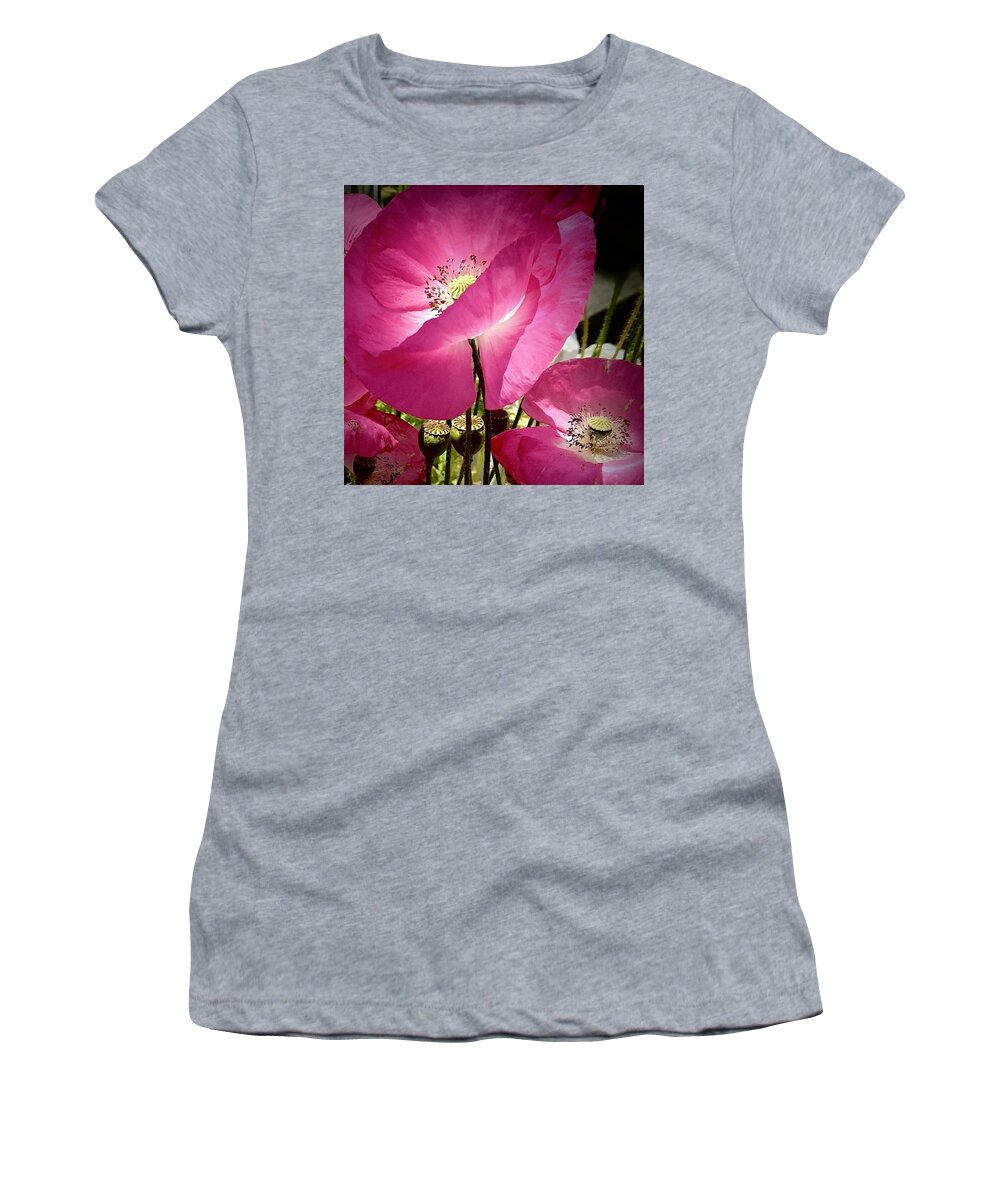 Poppies Women's T-Shirt featuring the photograph Pink Poppies by Daniele Smith