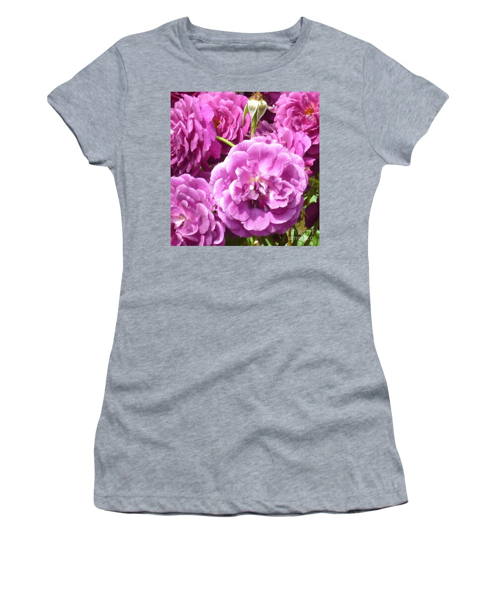 Roses Women's T-Shirt featuring the photograph Pink Rose by Carolyn Weltman