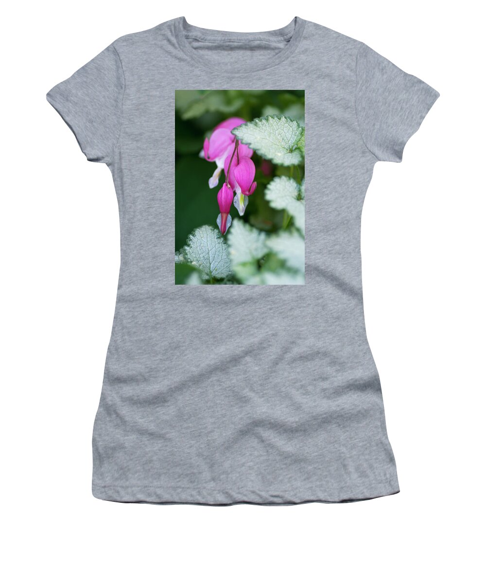 Pink Women's T-Shirt featuring the photograph Pink Snow On The Mountain by Pamela Dunn-Parrish