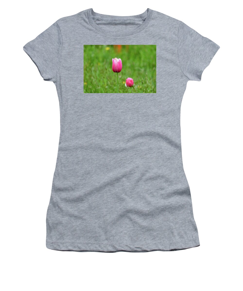 Tulip Women's T-Shirt featuring the photograph Pink Tulip by Andrew Lalchan