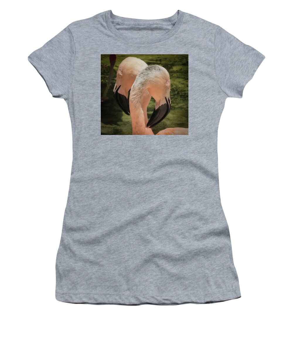 Pink Women's T-Shirt featuring the photograph Pinks by Vicky Edgerly