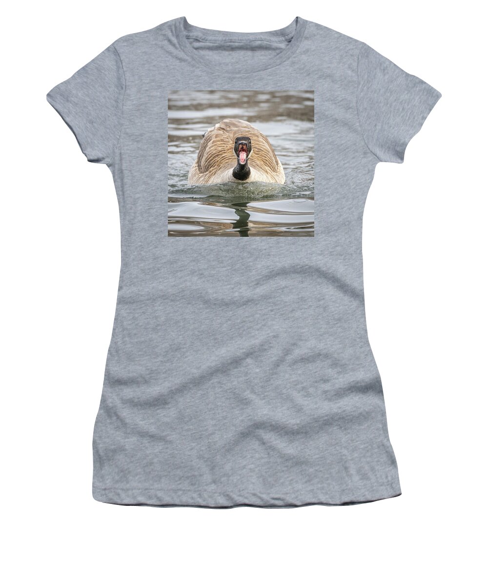 Animal Women's T-Shirt featuring the photograph Pissed Goose by Paul Freidlund