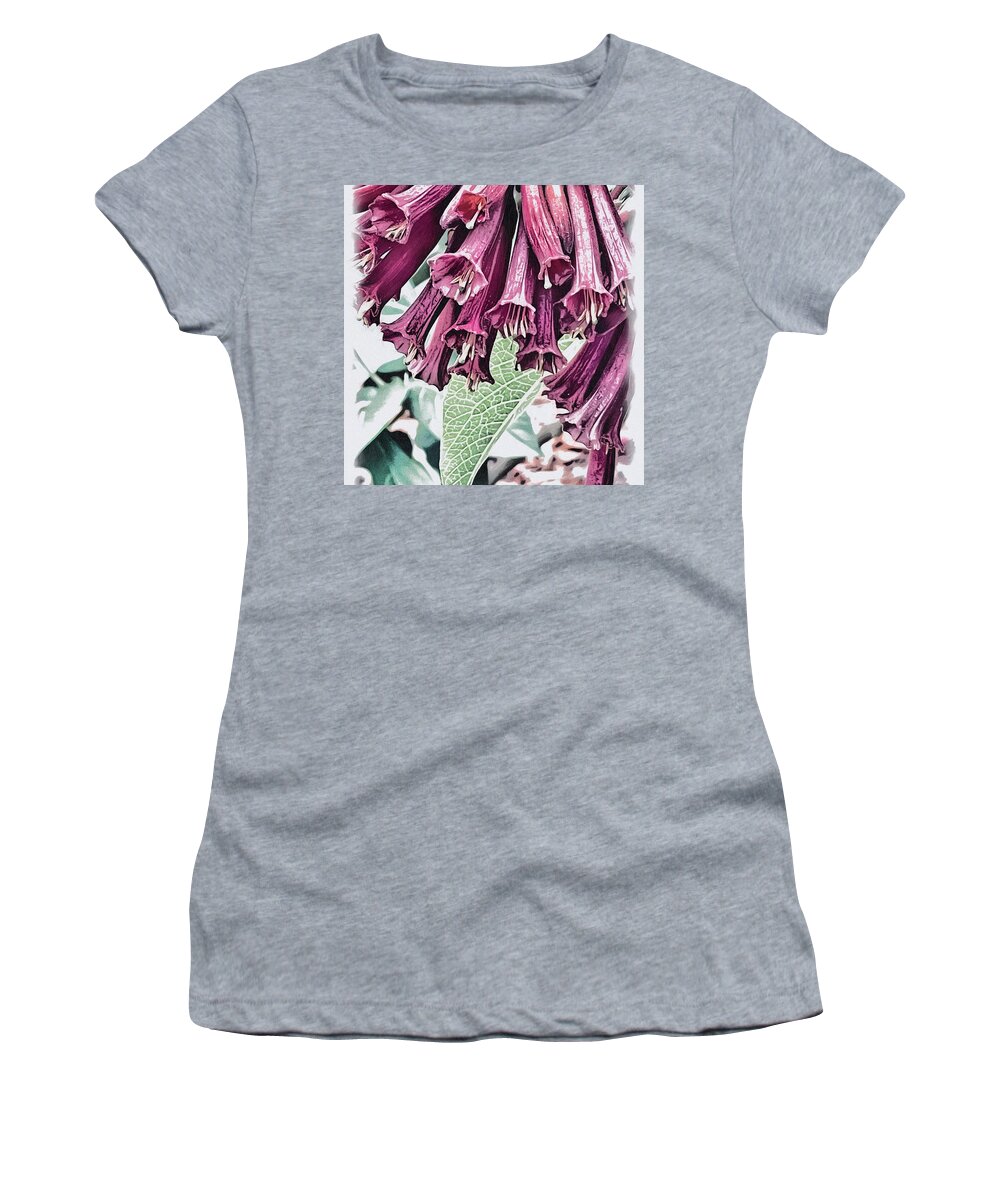 Pitcherplant Purple White Green Leaves Pistils Stripes Sandiego Treesforhealth Sketch Women's T-Shirt featuring the digital art Pitcherplant by Kathleen Boyles