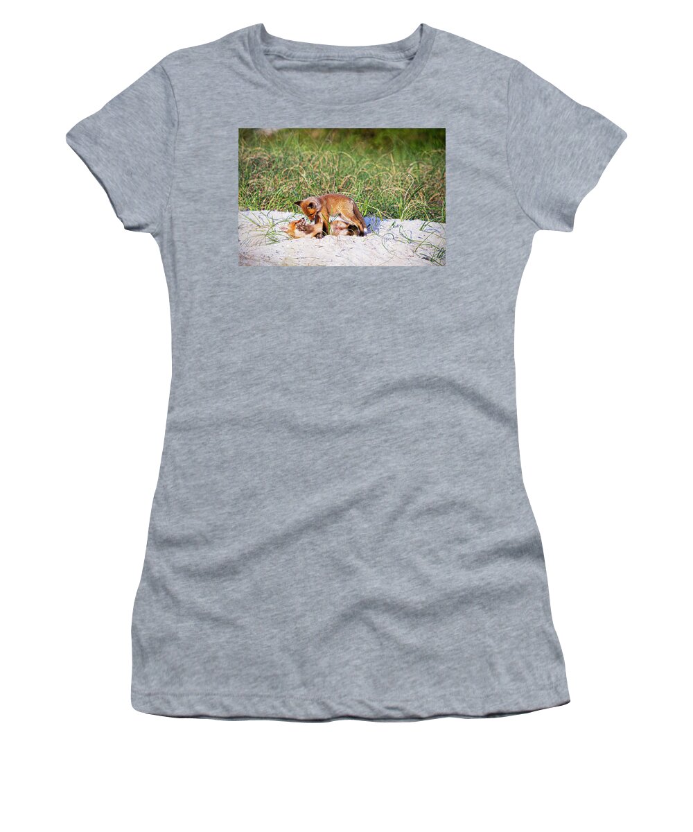 Red Fox Women's T-Shirt featuring the photograph Playful Red Foxes on the Outer Banks by Bob Decker