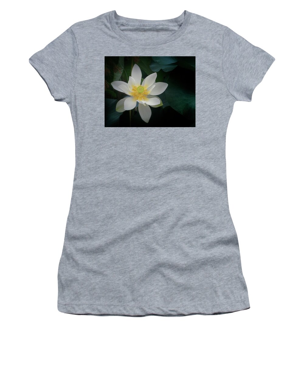 Floral Women's T-Shirt featuring the photograph Poised for perfection. by Usha Peddamatham