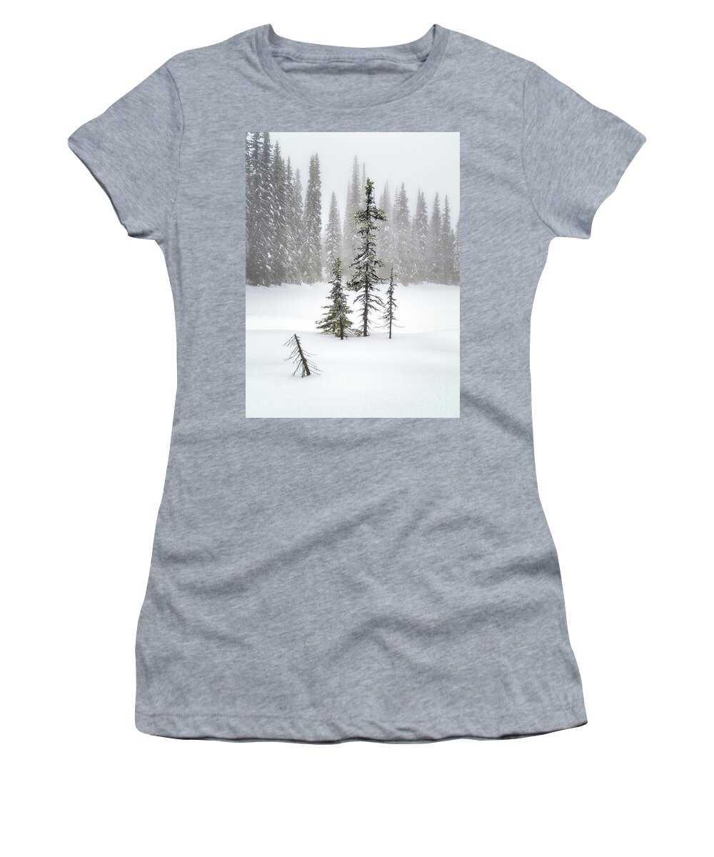 Okanagan Valley Women's T-Shirt featuring the photograph Ponderance by Allan Van Gasbeck
