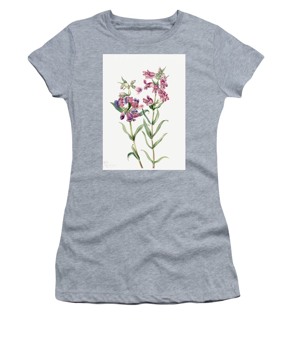 Prairie Penstemon Women's T-Shirt featuring the painting Prairie Penstemon by Mary Vaux Walcott. by World Art Collective