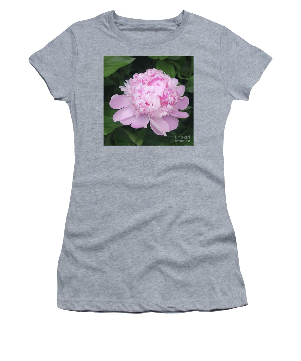 Art Women's T-Shirt featuring the photograph Ruffled Petals by Jeannie Rhode