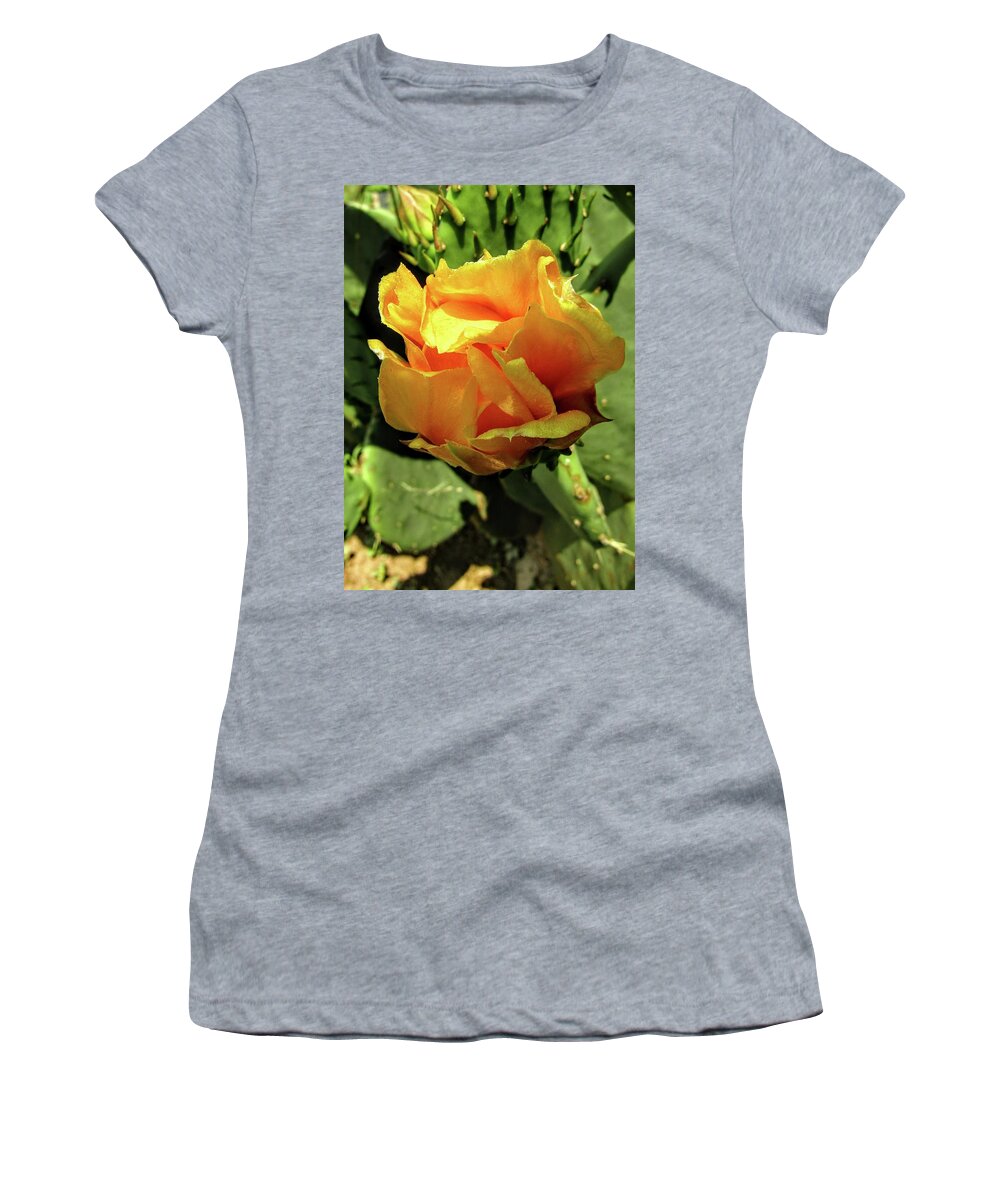 Prickly Pear Women's T-Shirt featuring the photograph Prickly beauty by Kim Galluzzo