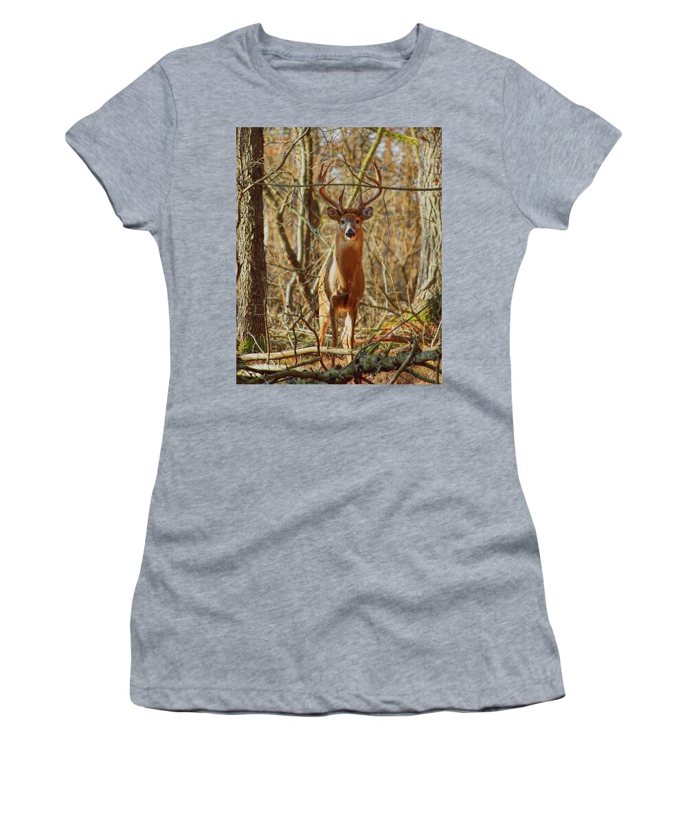 Wildlife Women's T-Shirt featuring the photograph Prince Of The Forest by Dale Kauzlaric