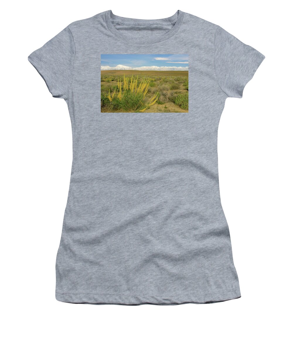 Mount Tom Women's T-Shirt featuring the photograph Princes Plume and Mount Tom - Spring Wildflowers Owens Valley Eastern Sierra California by Ram Vasudev