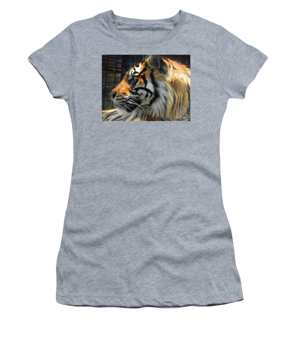 Tiger Women's T-Shirt featuring the photograph Profile of a Tiger by Rod Seel