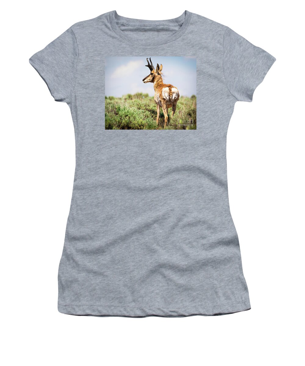 Pronghorn Women's T-Shirt featuring the photograph Pronghorn by Vincent Bonafede