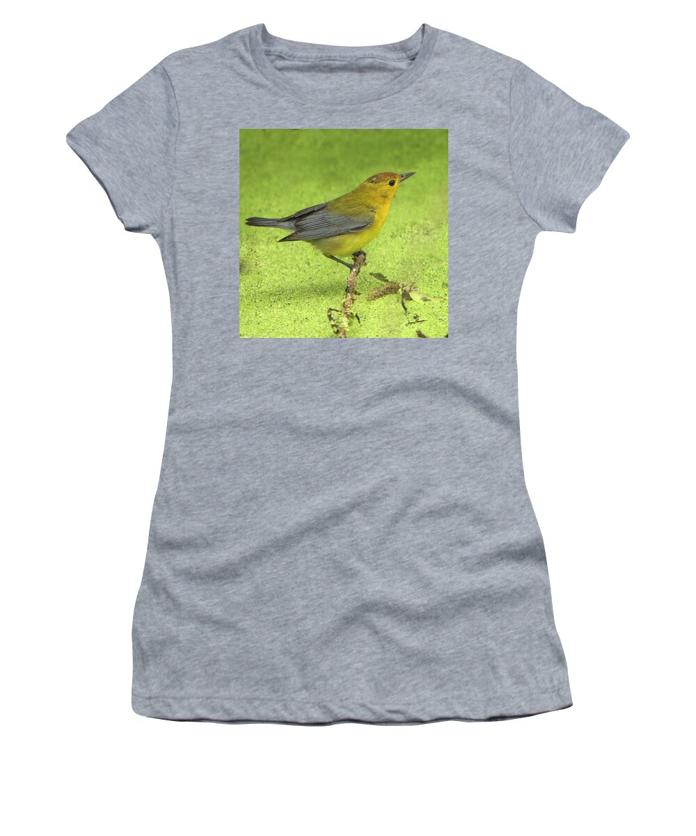 Prothonotary Warbler Women's T-Shirt featuring the photograph Prothonotary Warbler by Jurgen Lorenzen